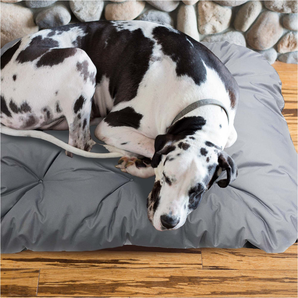 Coussin matelas, revêtement enduit pour chien