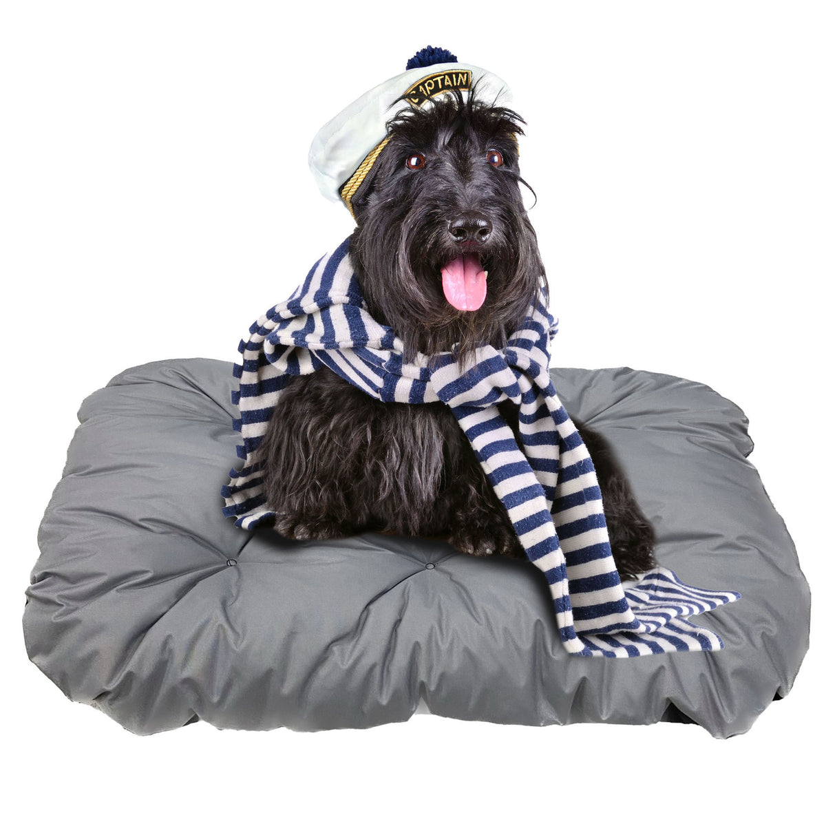 Coussin matelas, revêtement enduit pour chien — vue 10