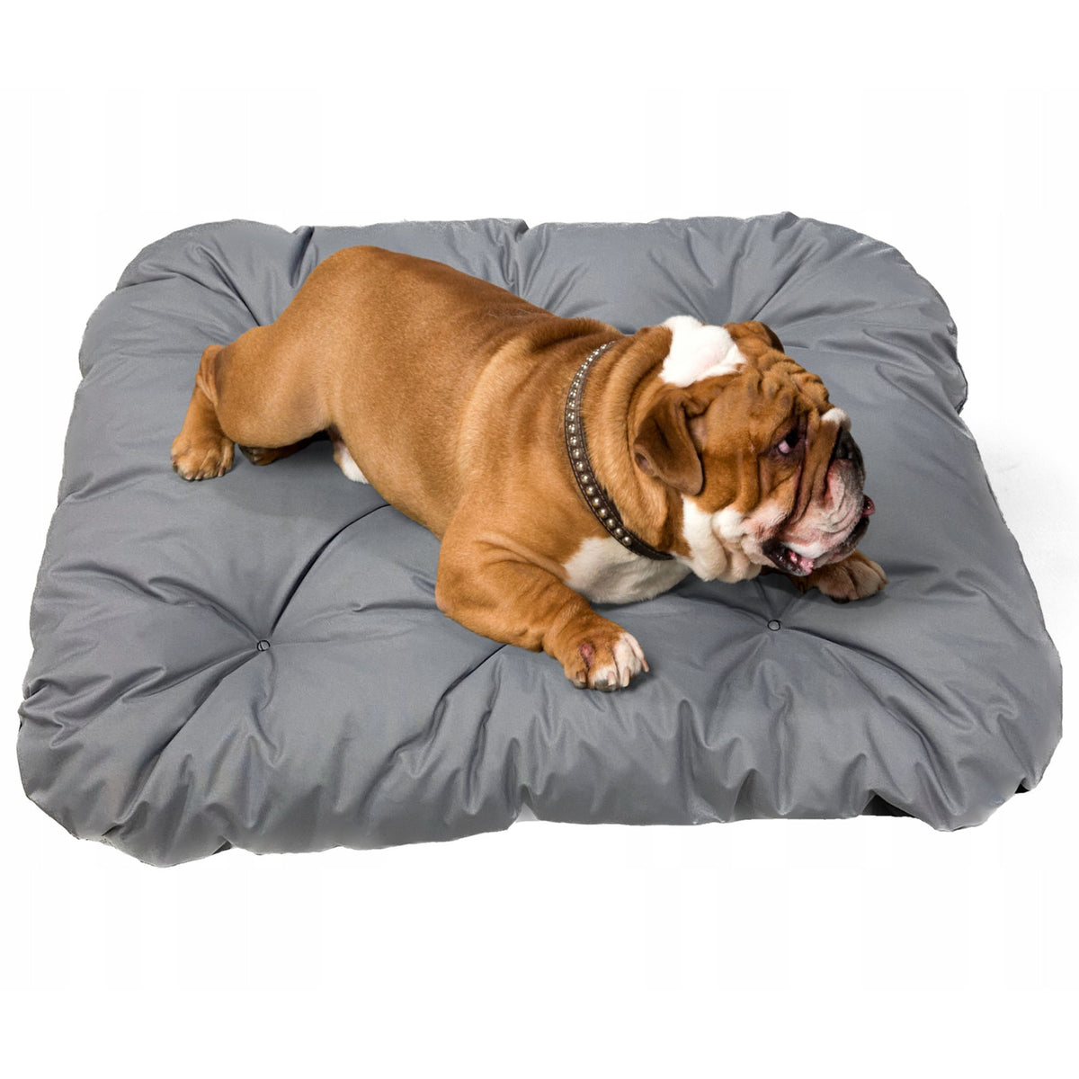 Coussin matelas, revêtement enduit pour chien — vue 4