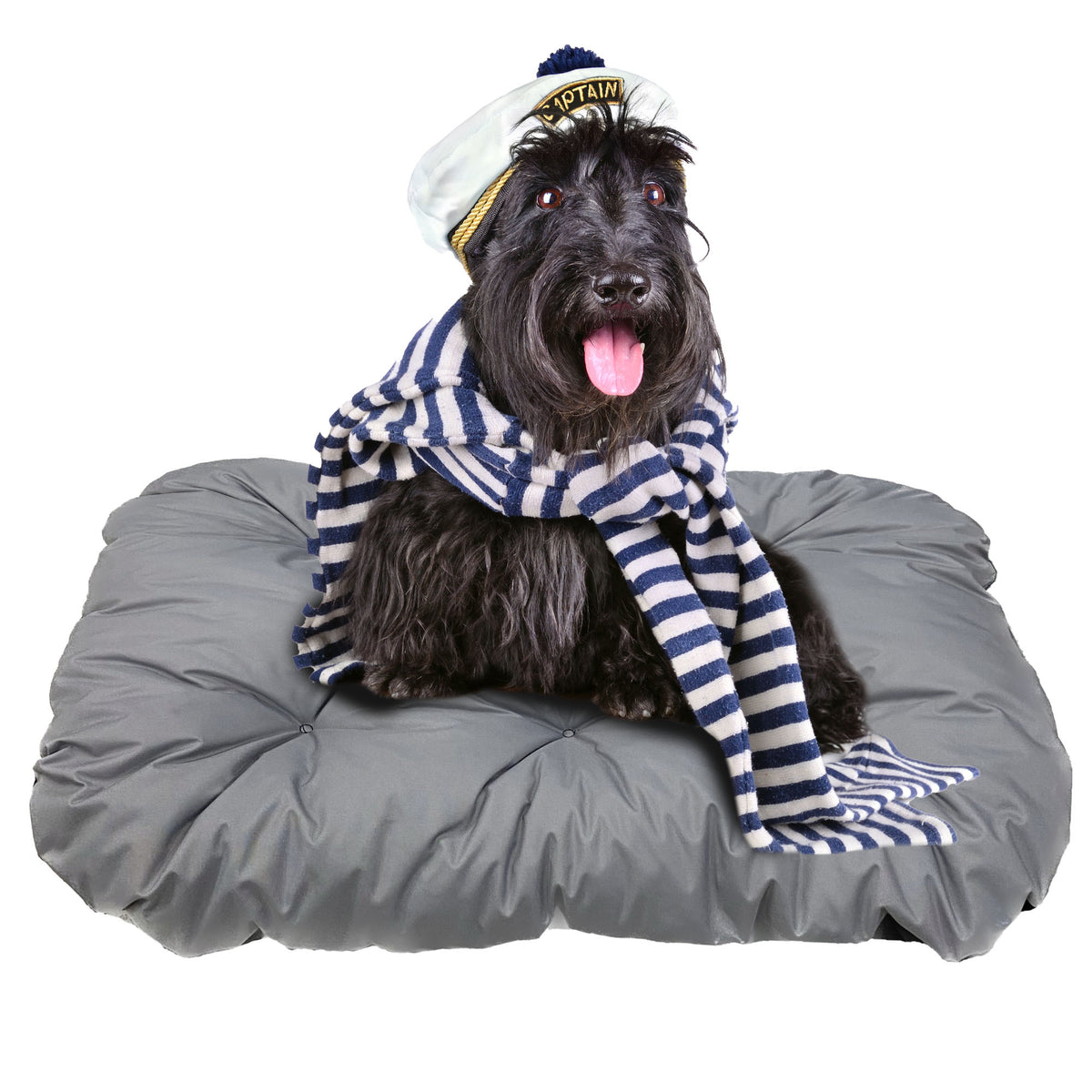 Coussin matelas, revêtement enduit pour chien — vue 5